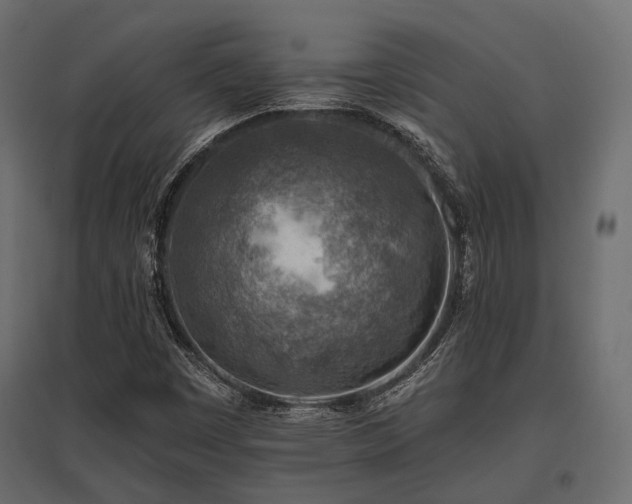 X0000097771449200803071306