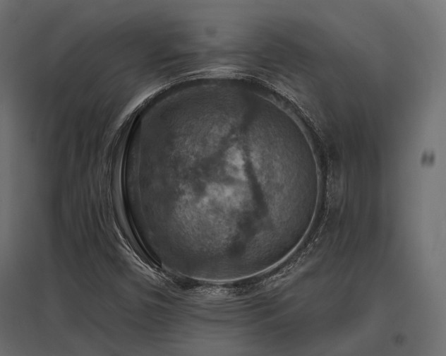 X0000097771450200803071306