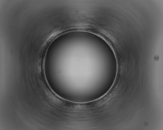 X0000097771451200803071306