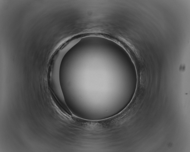 X0000097771452200803071306