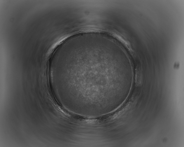 X0000097771453200803071306