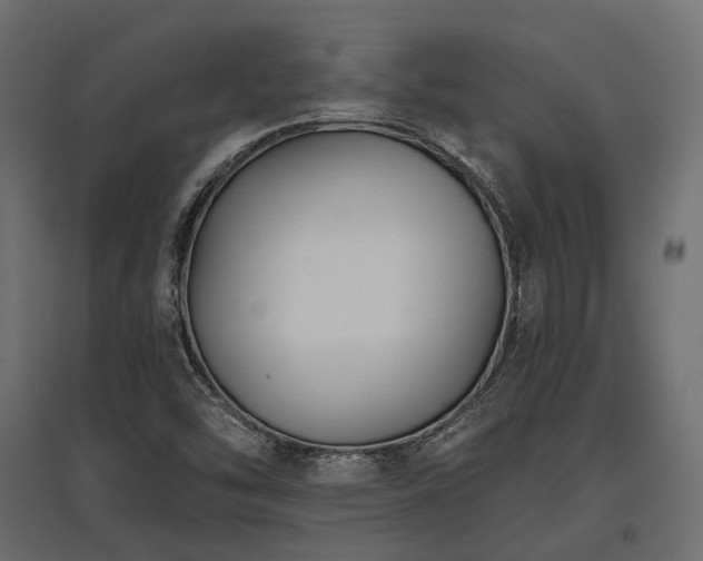 X0000097771454200803071306