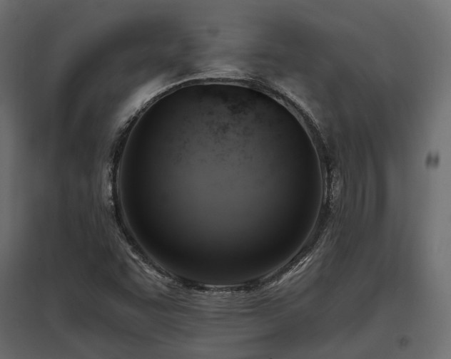 X0000097771455200803071306