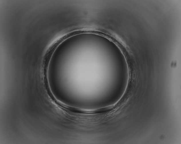 X0000097771456200803071306