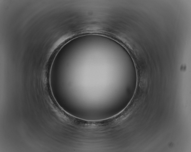 X0000097771458200803071306