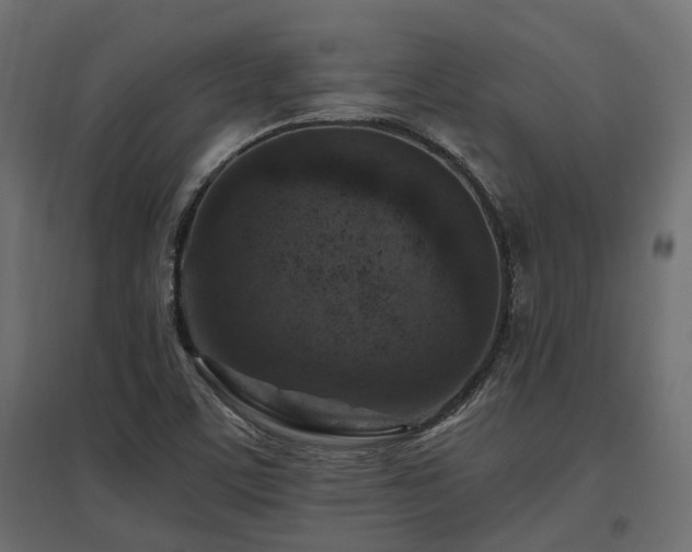 X0000097771459200803071306