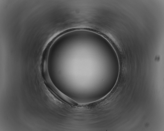 X0000097771460200803071306