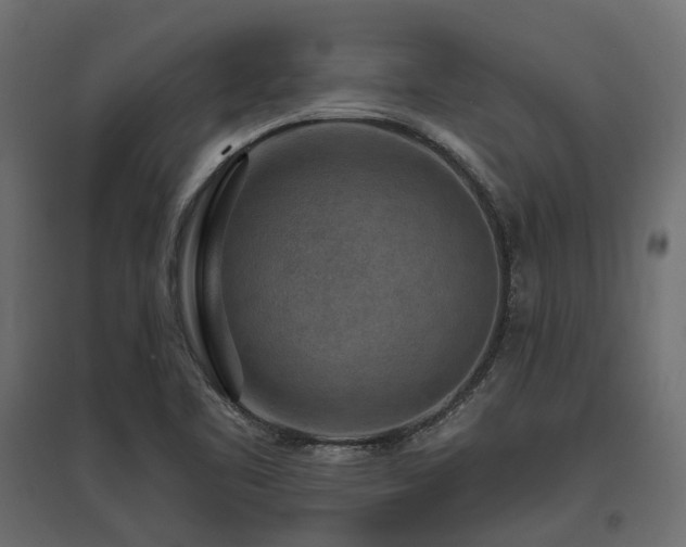 X0000097771461200803071306