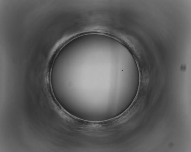 X0000097771462200803071306