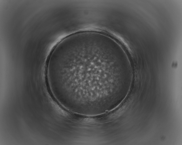X0000097771463200803071306