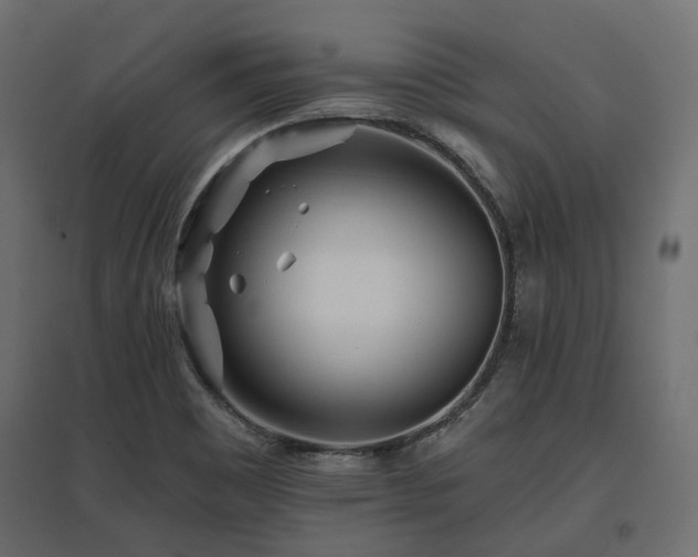 X0000097771465200803071306