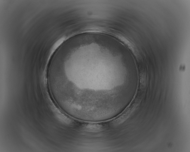 X0000097771466200803071306