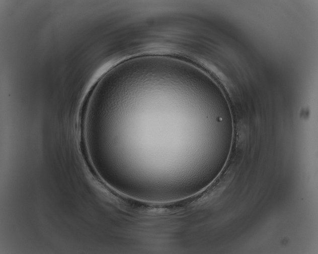 X0000097771467200803071306
