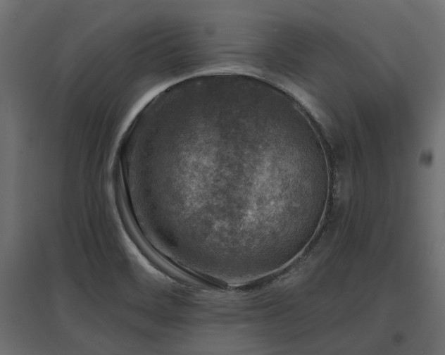 X0000097771468200803071306
