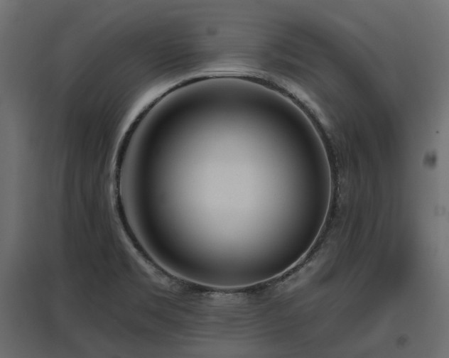 X0000097771469200803071306