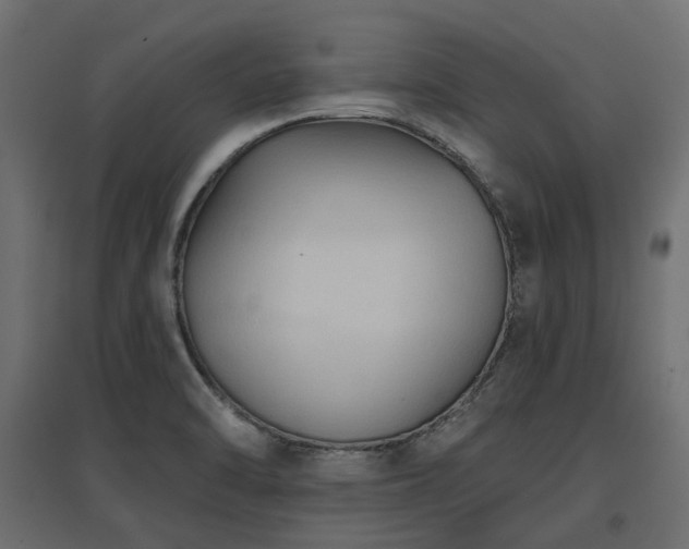 X0000097771470200803071306