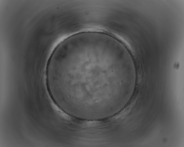 X0000097771471200803071306