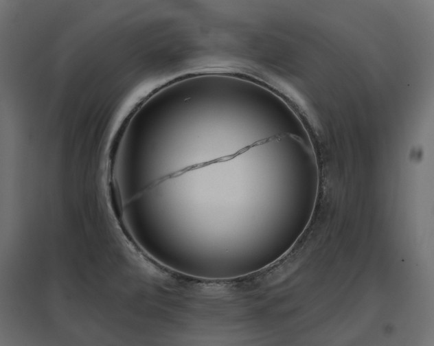 X0000097771472200803071306