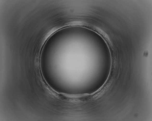 X0000097771473200803071306