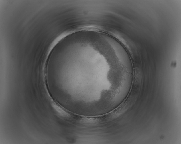 X0000097771474200803071306