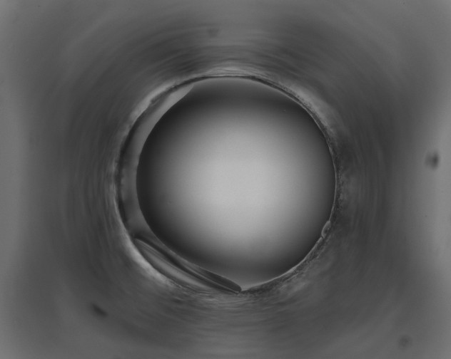 X0000097771476200803071306