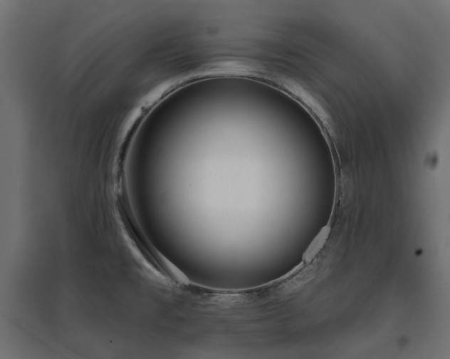 X0000097771477200803071306