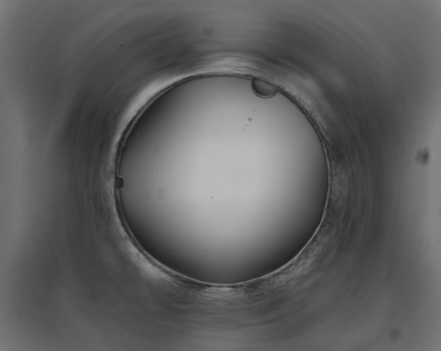 X0000097771478200803071306