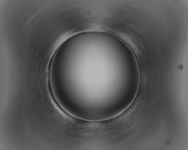 X0000097771479200803071306