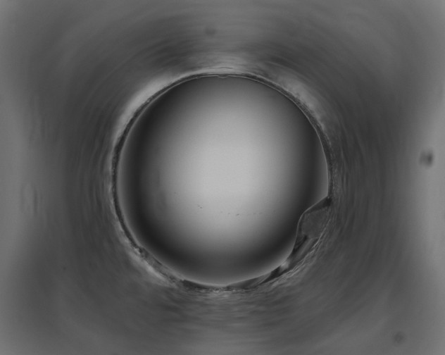 X0000097771480200803071306