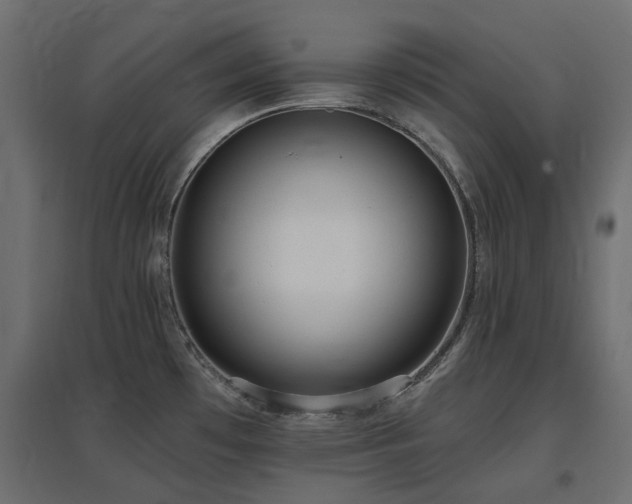 X0000097771481200803071306