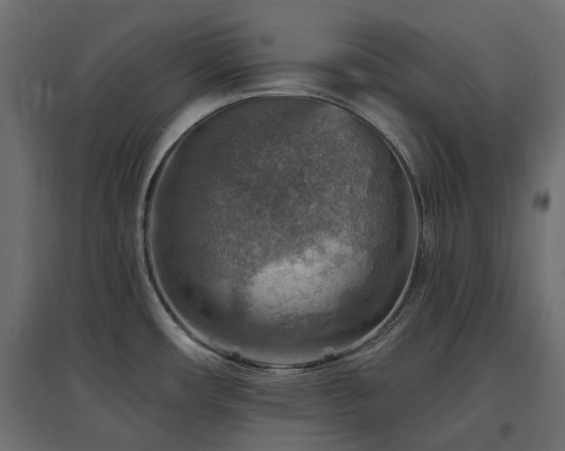 X0000097771482200803071306