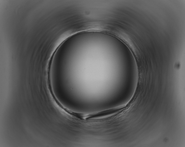 X0000097771483200803071306