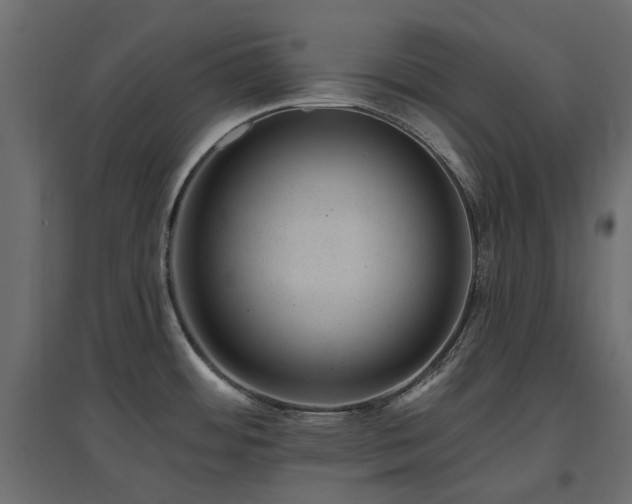X0000097771484200803071306