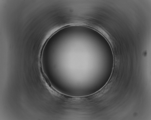 X0000097771485200803071306