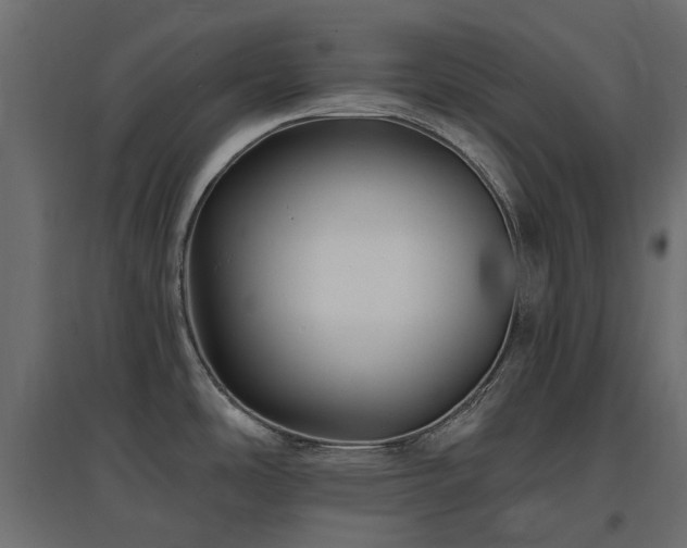 X0000097771486200803071306