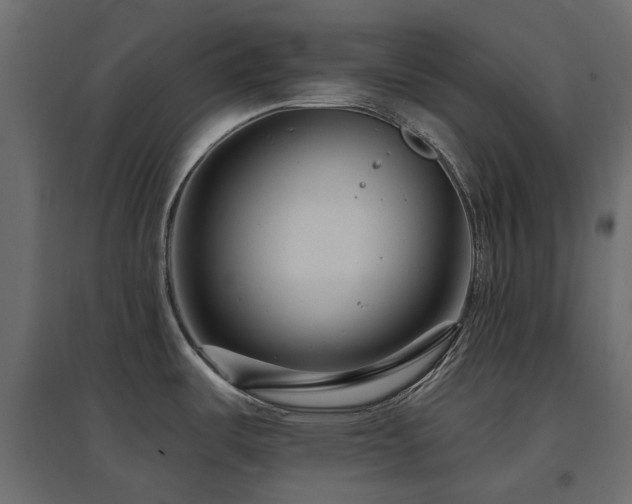 X0000097771487200803071306