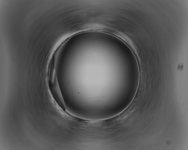 X0000097771488200803071306