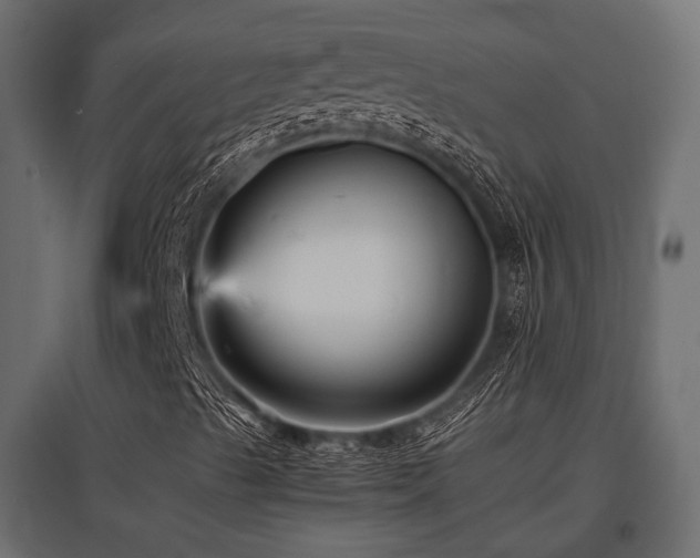 X0000097771489200803071305