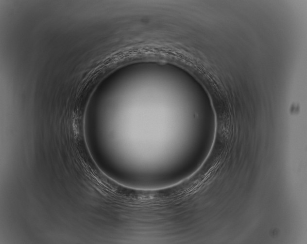 X0000097771490200803071305