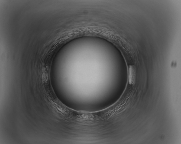 X0000097771491200803071305