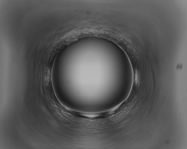 X0000097771492200803071305