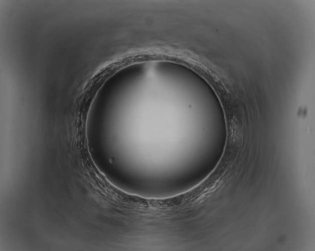X0000097771494200803071305