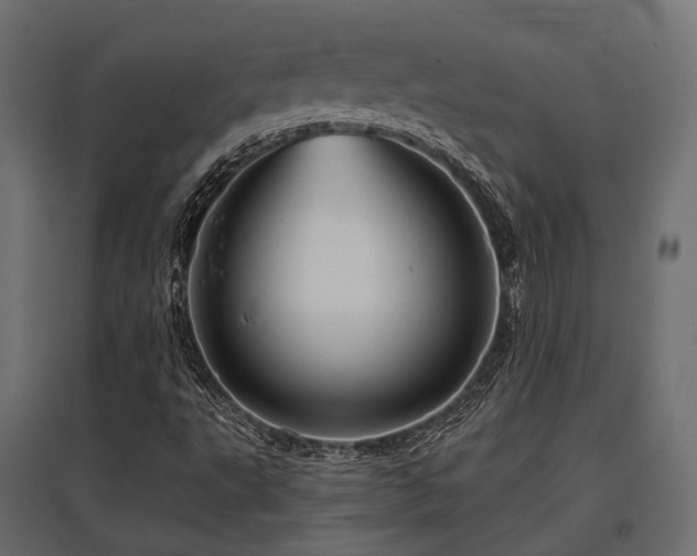 X0000097771495200803071305