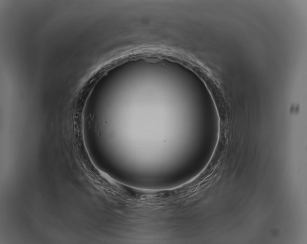 X0000097771496200803071305