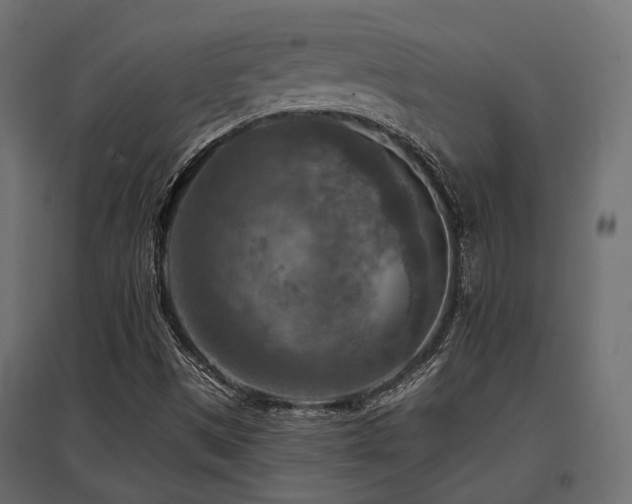 X0000097771497200803071305