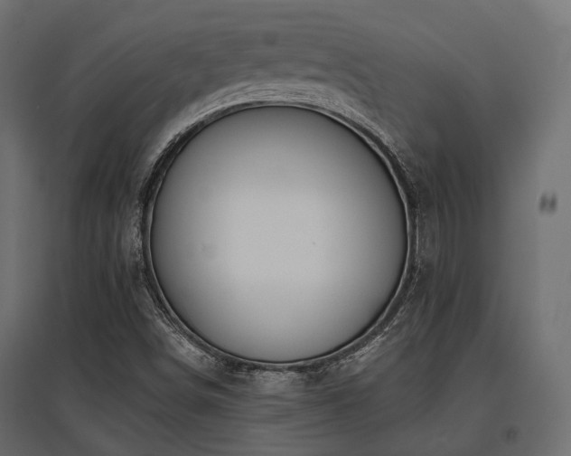 X0000097771498200803071305