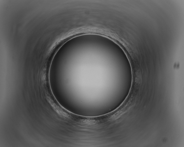 X0000097771499200803071305