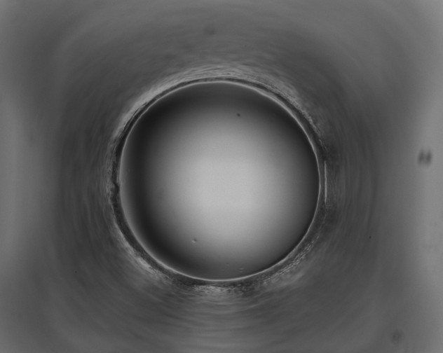 X0000097771500200803071305