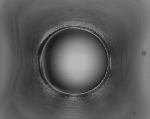 X0000097771501200803071305