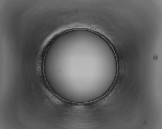 X0000097771502200803071305